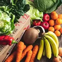 explore-fruit-veg-salad copy